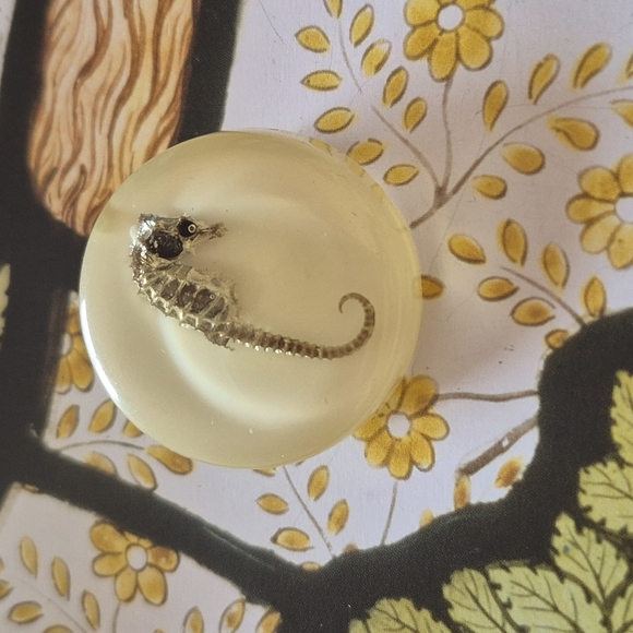 Seahorse Resin Paperweight - Cream - Picture 2 of 7